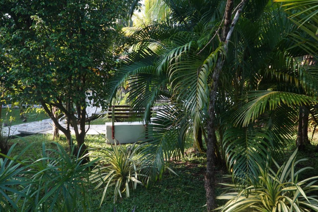 Red Coconut Villa Bentota Ngoại thất bức ảnh