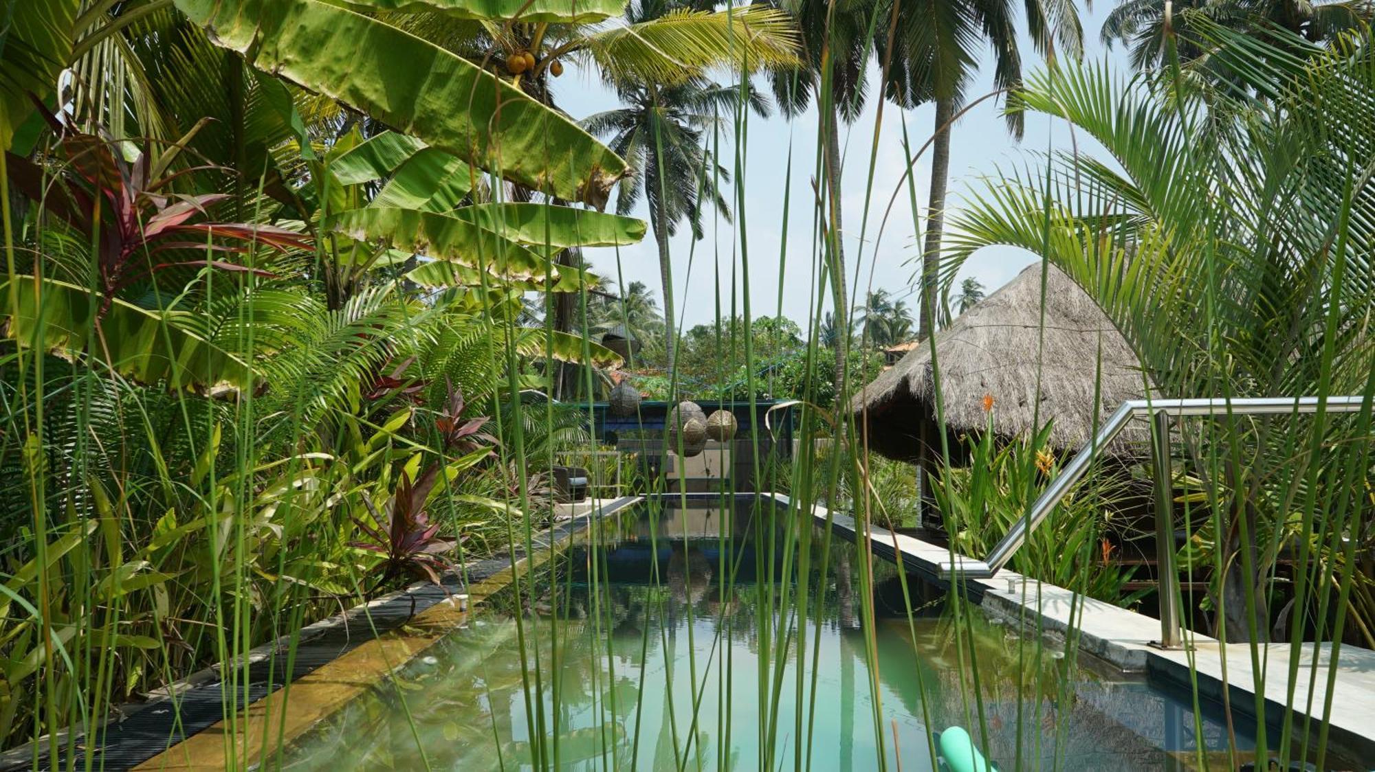 Red Coconut Villa Bentota Ngoại thất bức ảnh