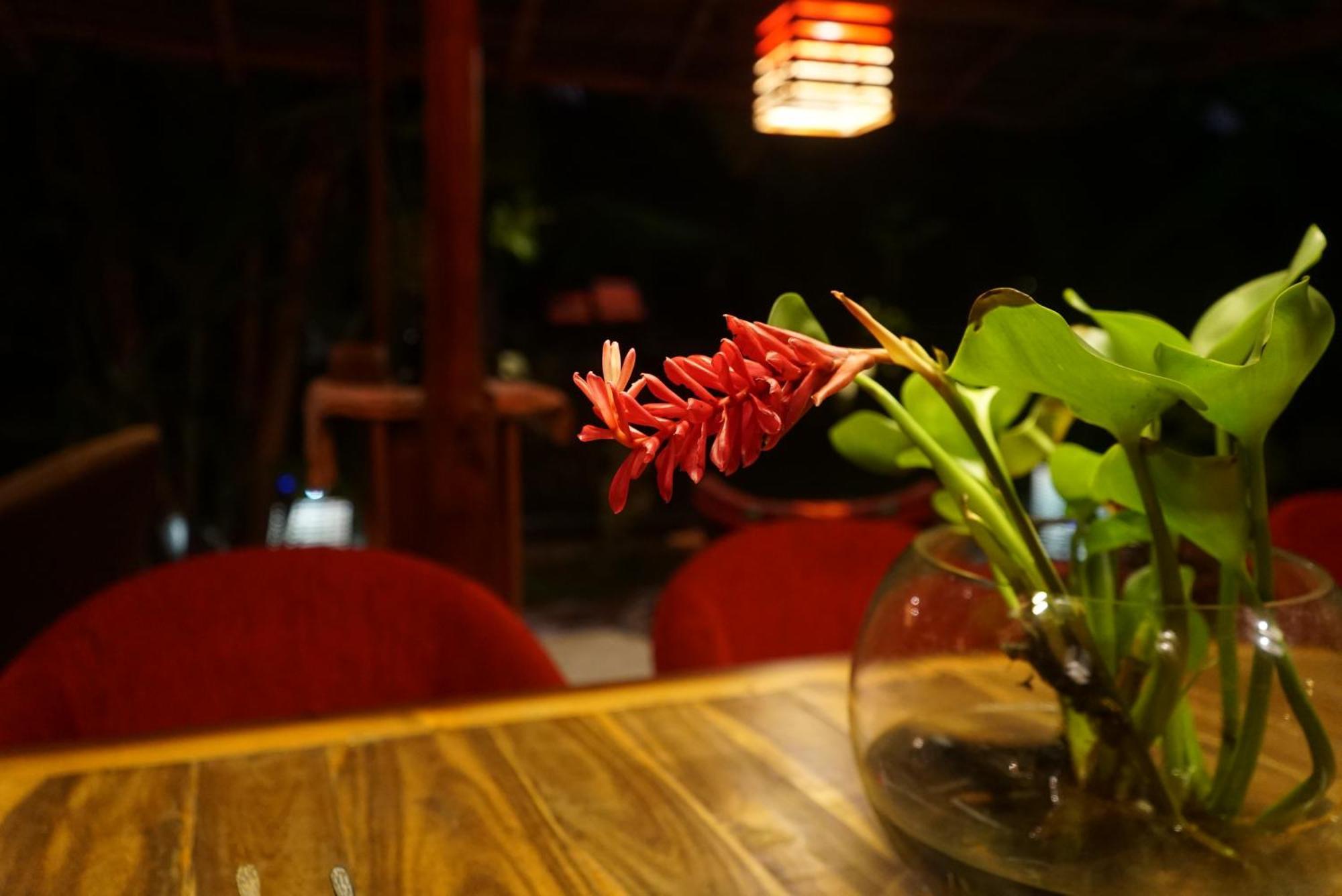 Red Coconut Villa Bentota Ngoại thất bức ảnh