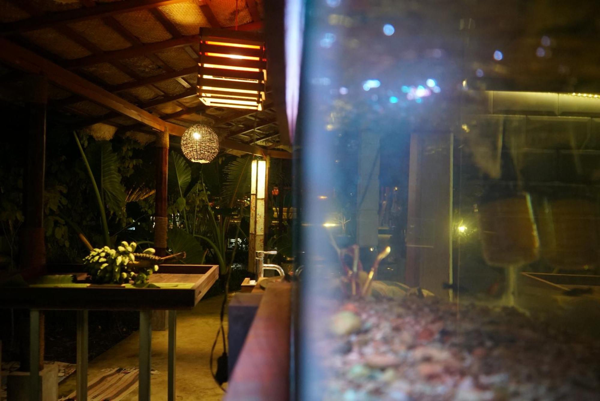 Red Coconut Villa Bentota Ngoại thất bức ảnh