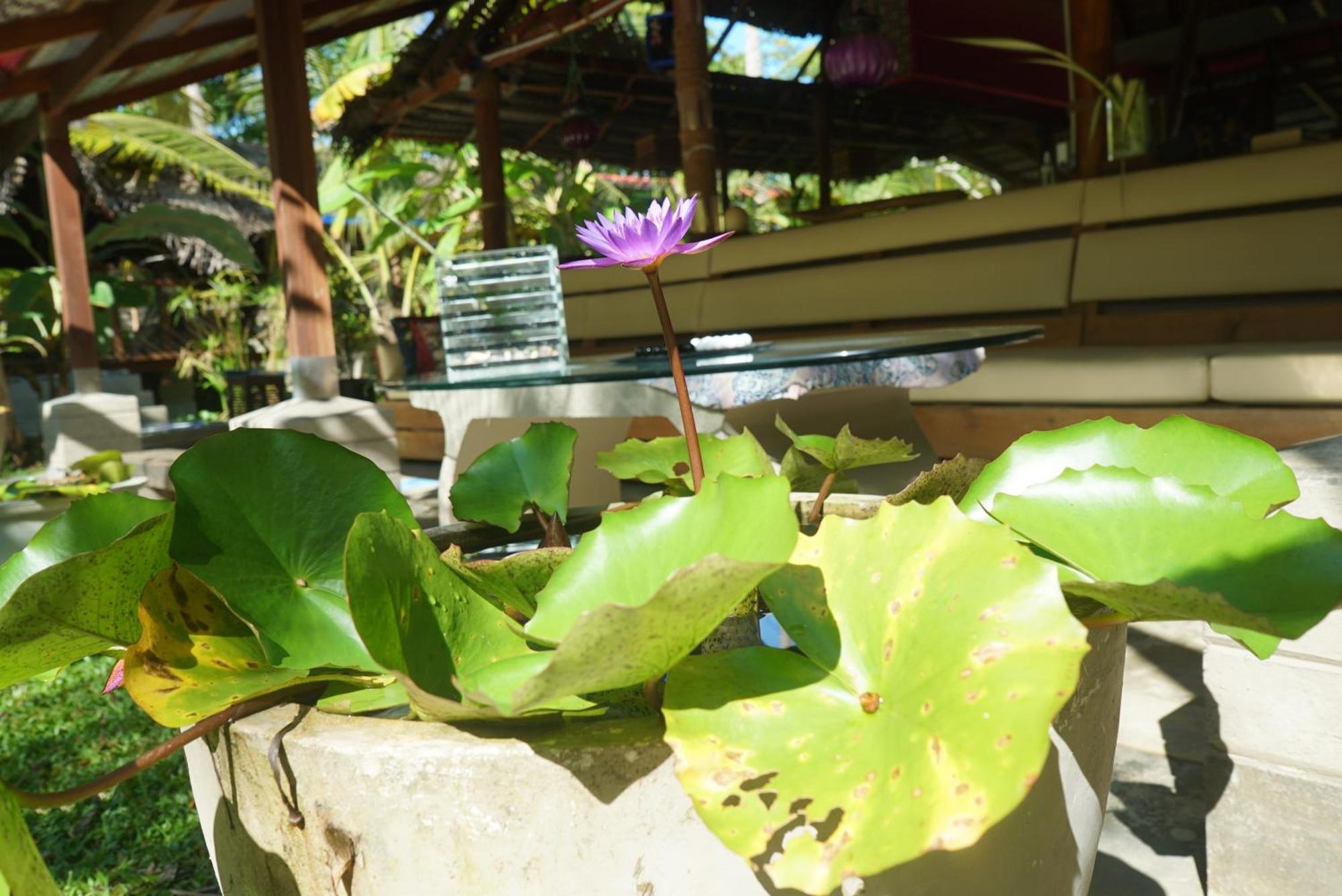 Red Coconut Villa Bentota Ngoại thất bức ảnh