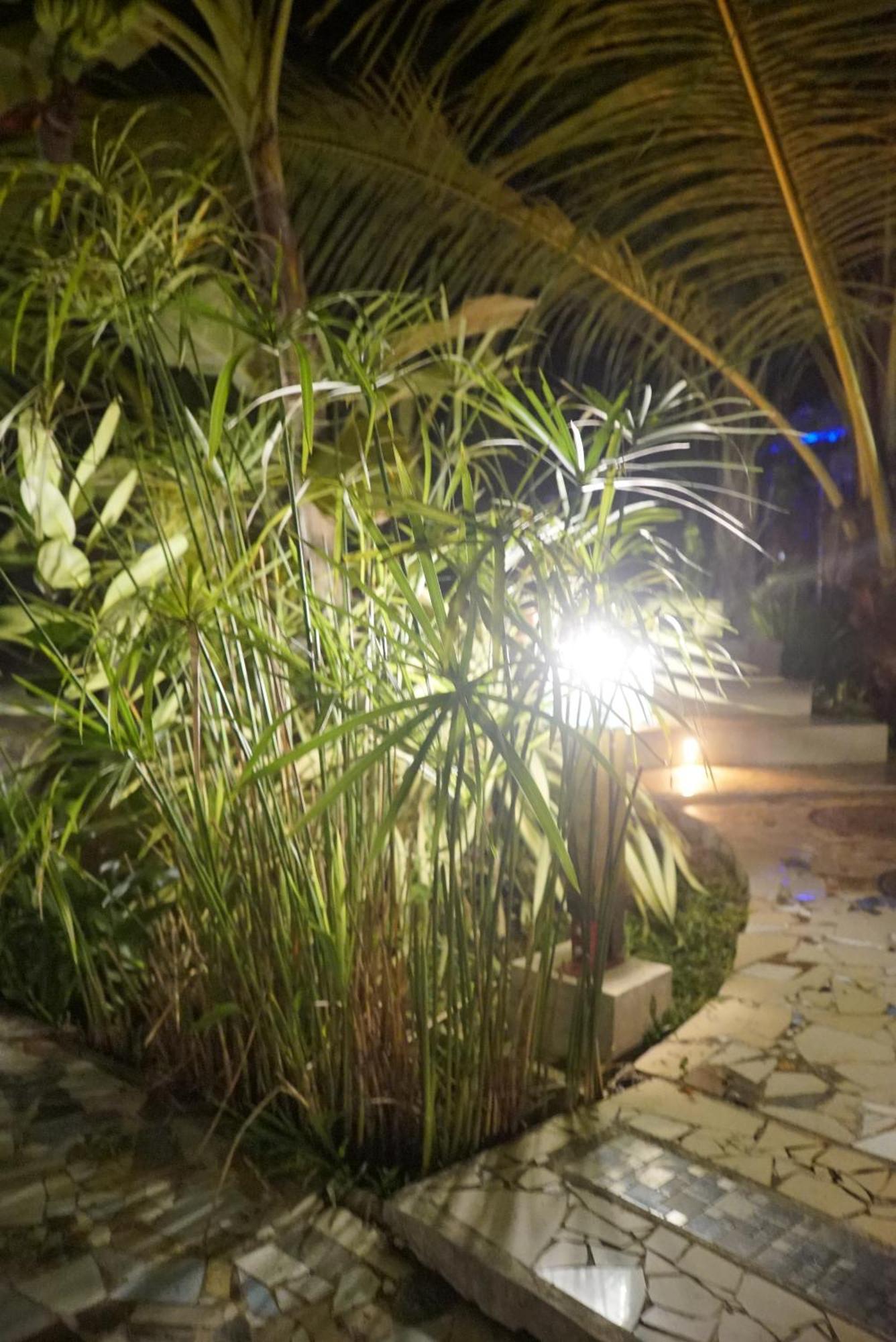 Red Coconut Villa Bentota Ngoại thất bức ảnh