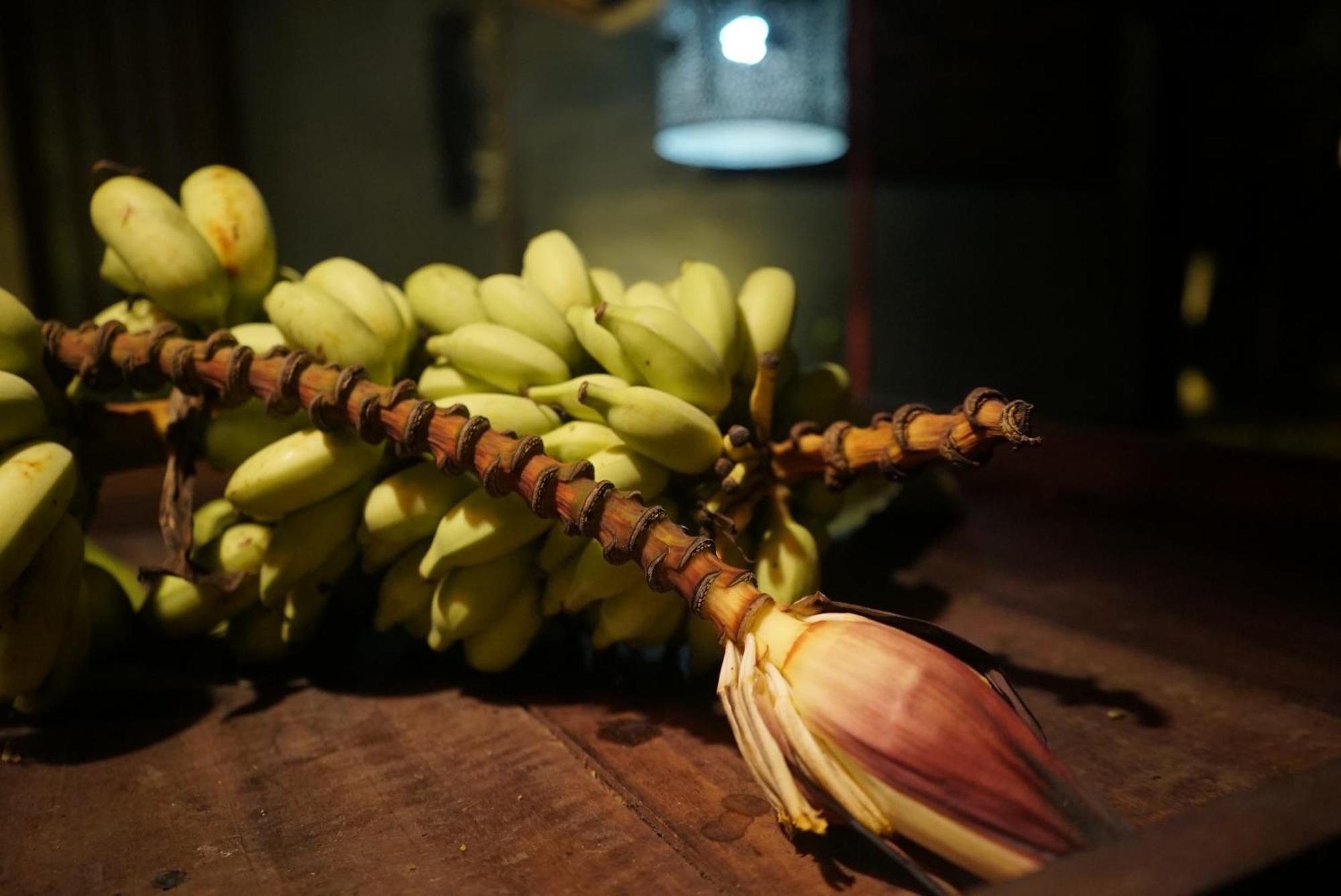 Red Coconut Villa Bentota Ngoại thất bức ảnh